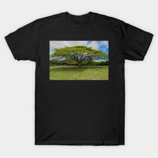 Punchbowl Hawaii T-Shirt